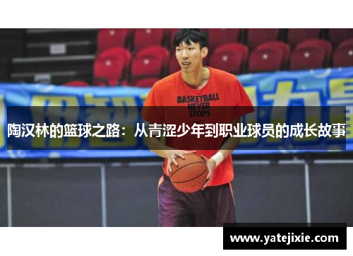 陶汉林的篮球之路：从青涩少年到职业球员的成长故事
