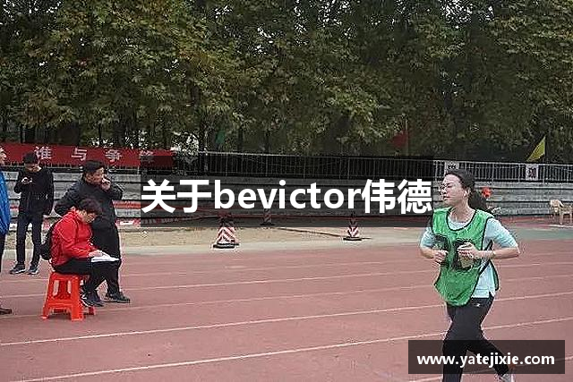 关于bevictor伟德